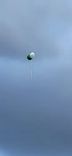 Wagendeko-auf-Abwegen